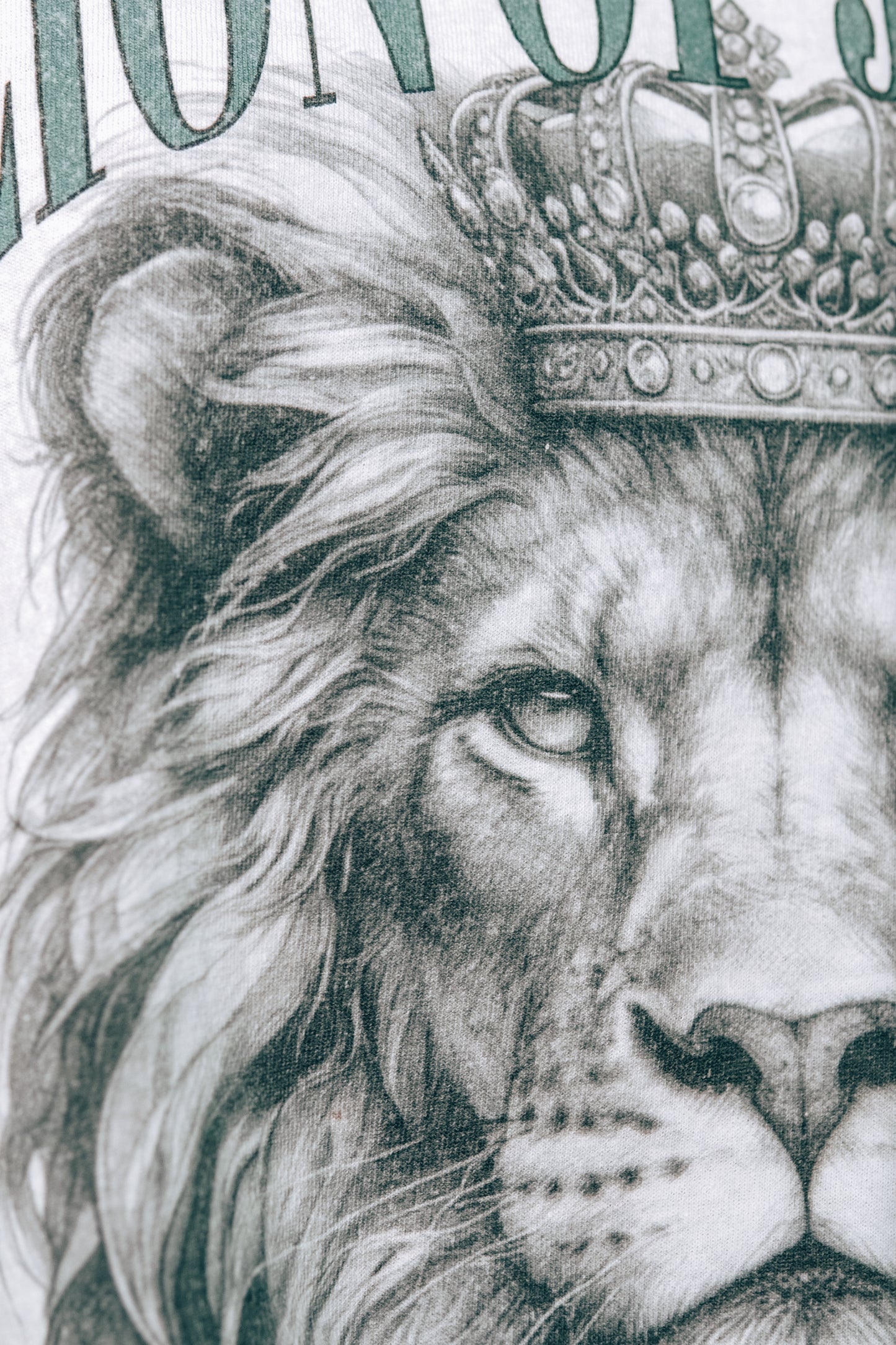 Close-up of "Every Knee Will Bow" text on Lion of Judah T-Shirt