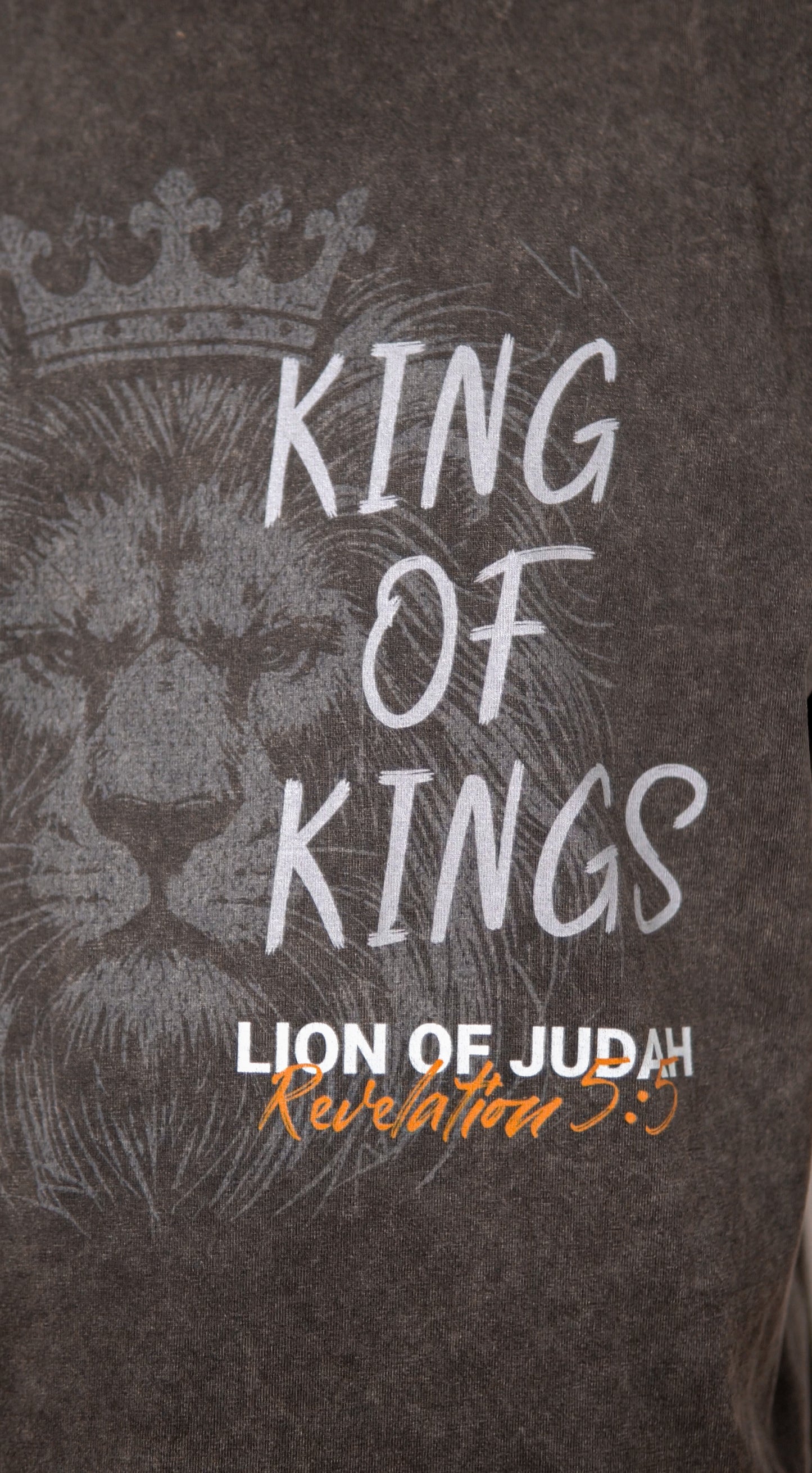 Lion of Judah King of Kings acid wash tee front view
